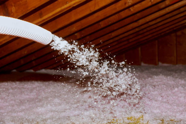 Best Insulation Maintenance and Repair in Forestville, MD