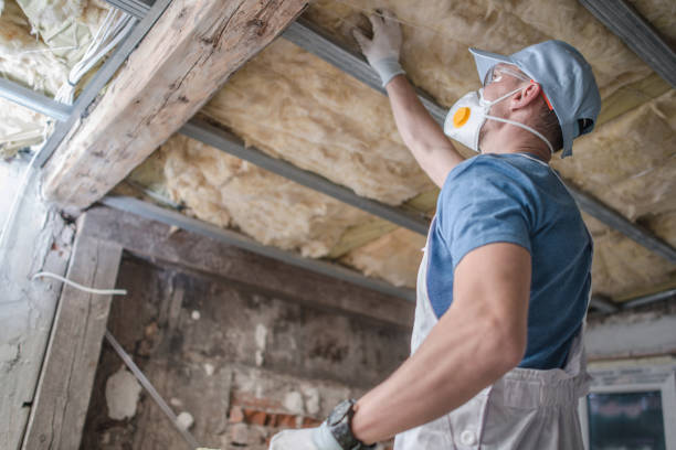 Best Commercial Insulation in Forestville, MD